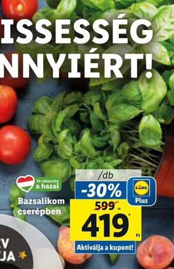 Lidl Bazsalikom cserépben 1 db ajánlat