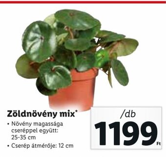 Lidl Zöldnövény mix 1 db ajánlat