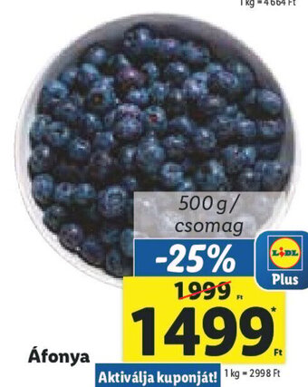 Lidl Áfonya 500 g ajánlat
