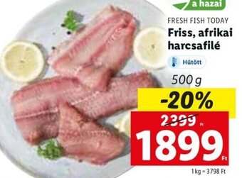 Lidl FRESH FISH TODAY Friss, afrikai harcsafilé 500 g ajánlat