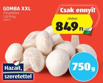 ALDI GOMBA XXL 750 g ajánlat