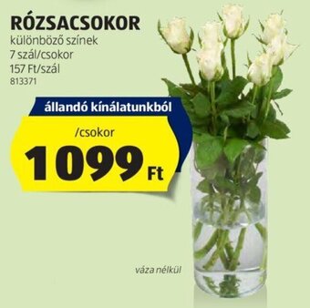 ALDI RÓZSACSOKOR 7 szál ajánlat