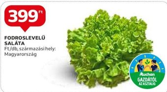 Auchan FODROSLEVELŰ SALÁTA 1 db ajánlat