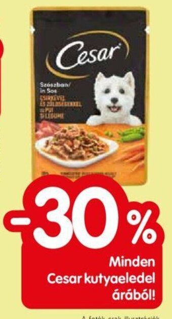 Spar Minden Cesar kutyaeledel árából! ajánlat