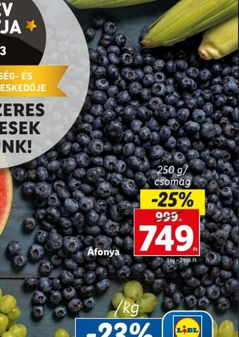 Lidl Áfonya 250 g ajánlat