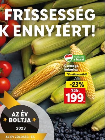 Lidl Csemege kukorica 1 db ajánlat