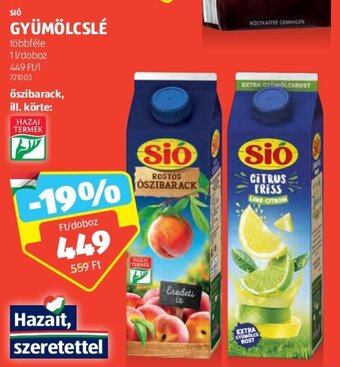 ALDI SIÓ GYÜMÖLCSLÉ 1 l ajánlat