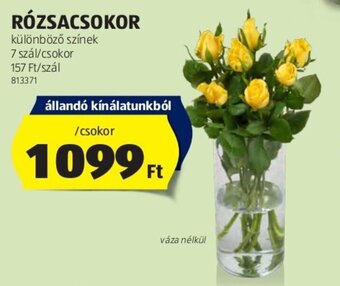 ALDI RÓZSACSOKOR 7 szál ajánlat
