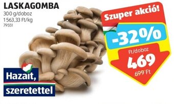 LASKAGOMBA 300 g