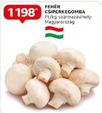 Auchan FEHÉR CSIPERKEGOMBA 1 kg ajánlat
