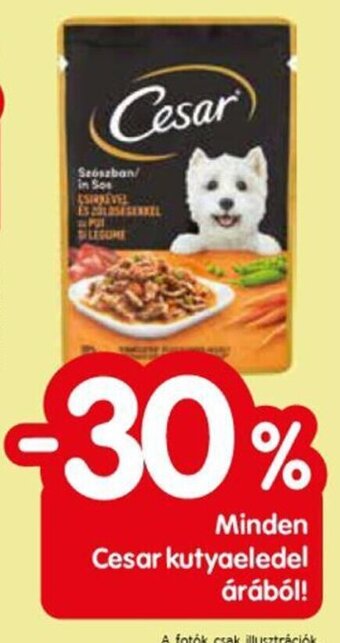 Spar Minden Cesar kutyaeledel árából! ajánlat