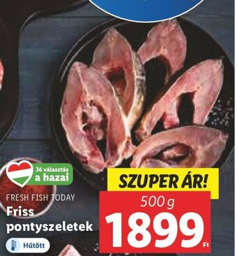Lidl FRESH FISH TODAY Friss pontyszeletek 500 g ajánlat