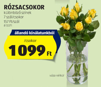 ALDI RÓZSACSOKOR 7 szál ajánlat