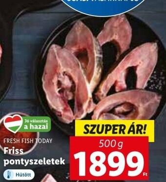 Lidl FRESH FISH TODAY Friss pontyszeletek 500 g ajánlat