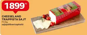 CHEESELAND TRAPPISTA SAJT 1 kg