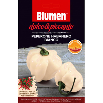 Auchan Blumen paprika vetőmag (fehér habanero paprika) ajánlat
