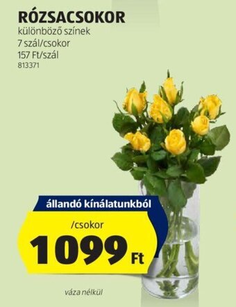 ALDI RÓZSACSOKOR 7 szál ajánlat