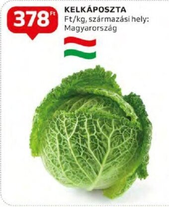 KELKÁPOSZTA 1 kg