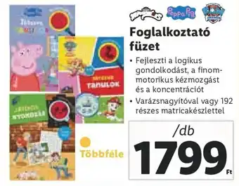 Lidl Foglalkoztató füzet 1 db ajánlat