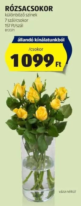 ALDI RÓZSACSOKOR 7 szál ajánlat