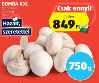 ALDI GOMBA XXL 750 g ajánlat