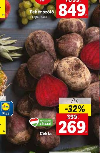 Lidl Cékla 1 kg ajánlat
