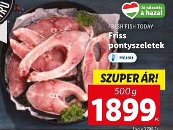 Lidl FRESH FISH TODAY Friss pontyszeletek 500 g ajánlat