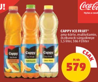 PENNY CAPPY ICE FRUIT 1,5 l ajánlat