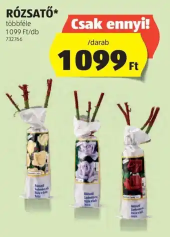 ALDI RÓZSATŐ 1 db ajánlat