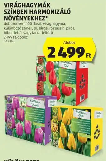 ALDI VIRÁGHAGYMÁK SZÍNBEN HARMONIZÁLÓ NÖVÉNYEKHEZ 1 doboz ajánlat