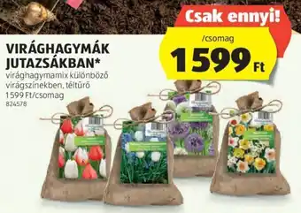 ALDI VIRÁGHAGYMÁK JUTAZSÁKBAN 1 csomag ajánlat