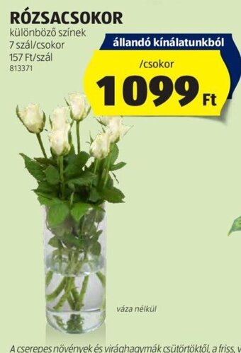 ALDI RÓZSACSOKOR 7 szál ajánlat