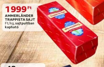 Auchan AMMERLÄNDER TRAPPISTA SAJT 1 kg ajánlat