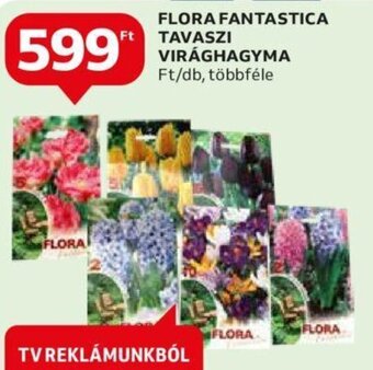 Auchan FLORA FANTASTICA TAVASZI VIRÁGHAGYMA 1 db ajánlat