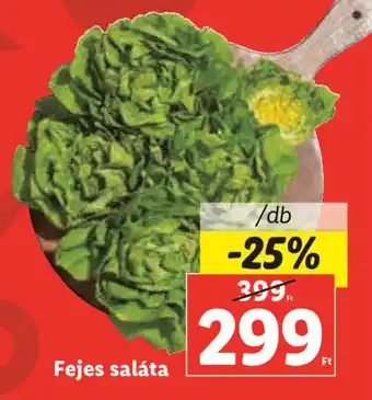 Lidl Fejes saláta 1 db ajánlat