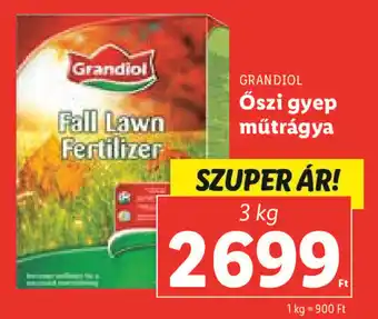 Lidl GRANDIOL Őszi gyep műtrágya 3 kg ajánlat