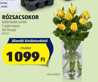 ALDI RÓZSACSOKOR 7 szál ajánlat