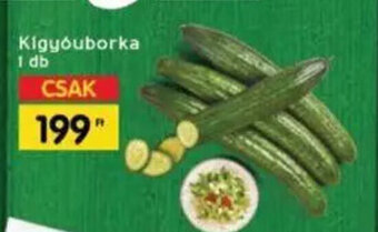 Kigyóuborka 1 db