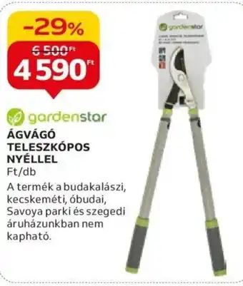 Auchan gardenstar ÁGVÁGÓ TELESZKÓPOS NYÉLLEL 1 db ajánlat