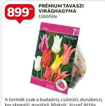 Auchan PRÉMIUM TAVASZI VIRÁGHAGYMA 1 db ajánlat