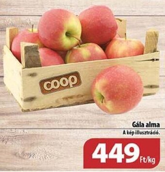 Coop Gála alma 1 kg ajánlat