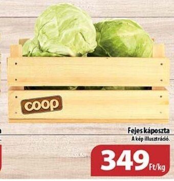 Coop Fejes káposzta 1 kg ajánlat