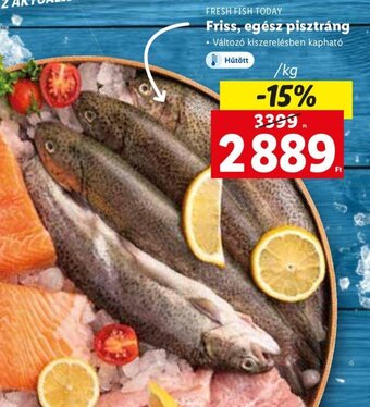 Lidl FRESH FISH TODAY Friss, egész pisztráng 1 kg ajánlat