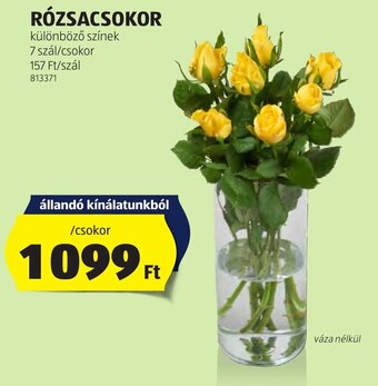ALDI RÓZSACSOKOR 7 szál ajánlat