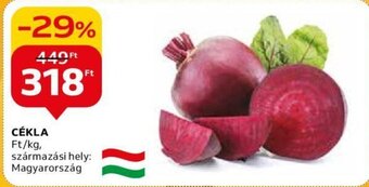 Auchan CÉKLA 1 kg ajánlat