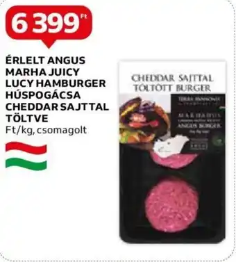 Auchan HAMBURGER HÚSPOGÁCSA CHEDDAR SAJTTAL TÖLTVE 1 kg ajánlat