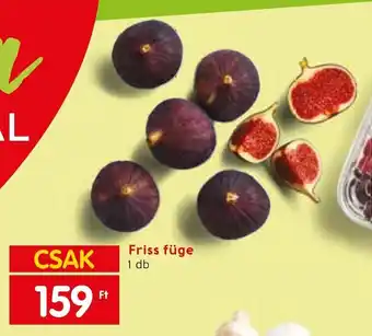 Friss füge 1 db