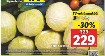 Lidl Fejes káposzta 1 kg ajánlat