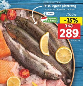 Lidl FRESH FISH TODAY Friss, egész pisztráng 100 g ajánlat