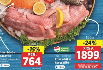 Lidl FRESH FISH TODAY Friss afrikai harcsafilé 500 g ajánlat